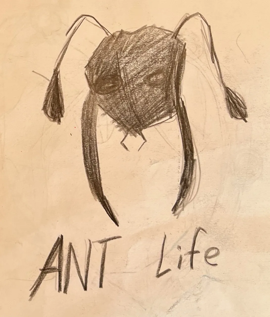 Ant Life